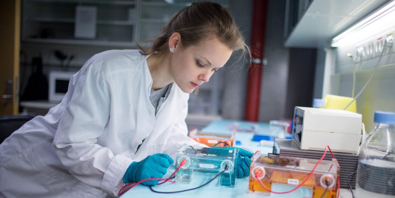 Study Medicine and Dentistry in Europe