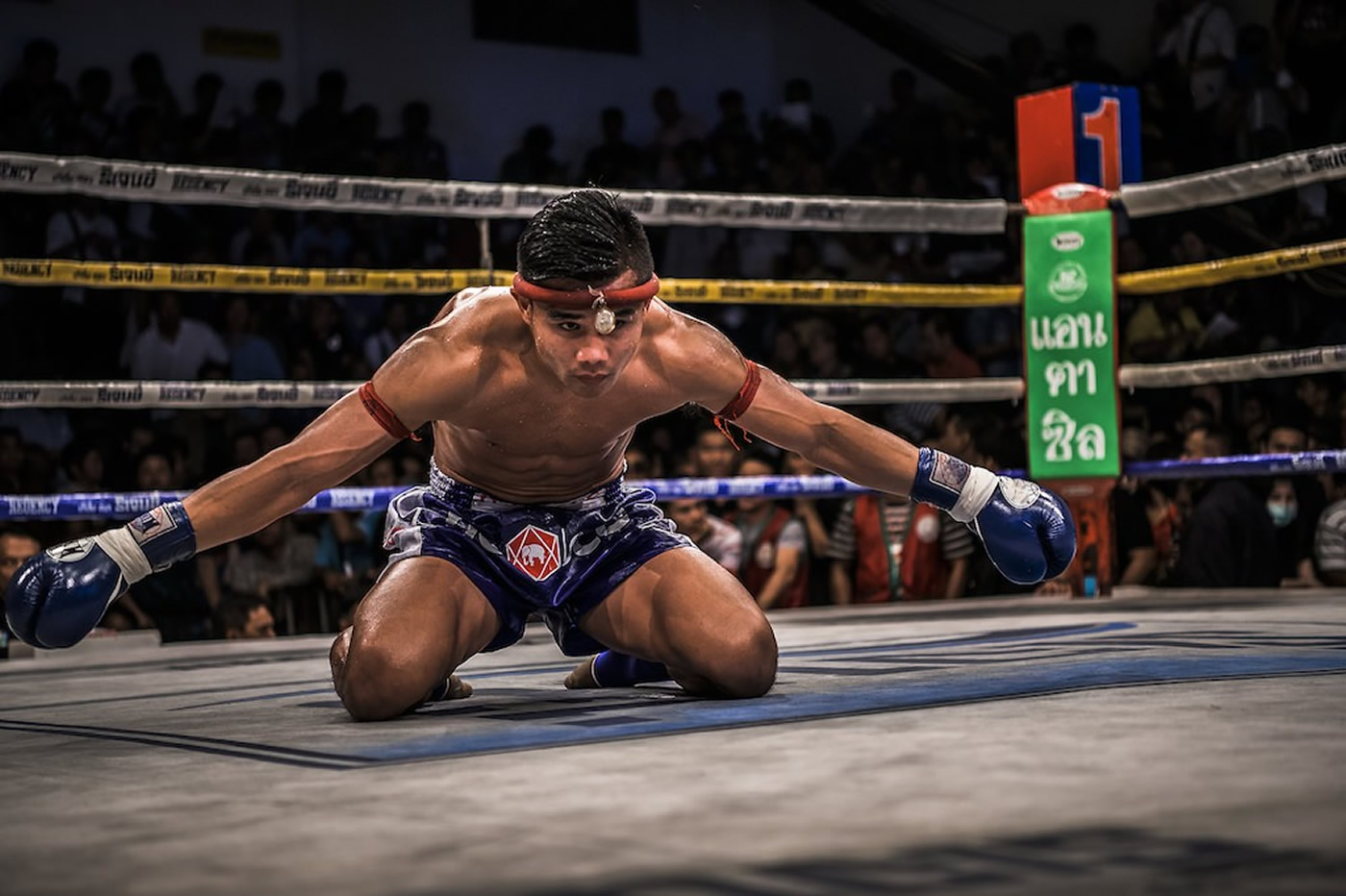 Good Health With Muay Thai Training Camp In Thailand Health Care Reform